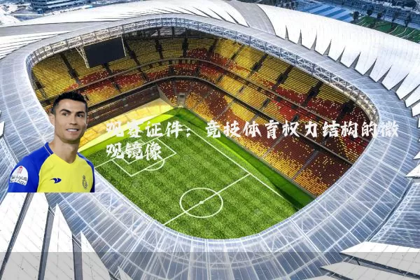 观赛证件：竞技体育权力结构的微观镜像
